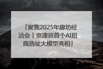聚焦2025年廊坊经洽会丨京津冀首个AI招商选址大模型亮相