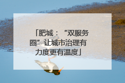 肥城：“双服务圈”让城市治理有力度更有温度