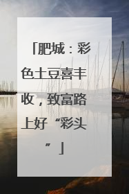 肥城：彩色土豆喜丰收，致富路上好“彩头”