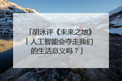 胡泳评《未来之地》︱人工智能会夺走我们的生活意义吗？