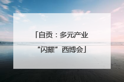 自贡：多元产业“闪耀”西博会