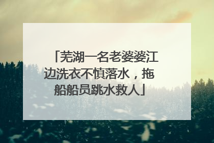 芜湖一名老婆婆江边洗衣不慎落水，拖船船员跳水救人