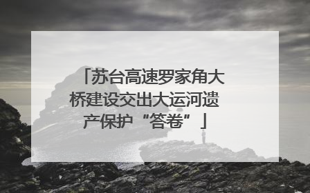 苏台高速罗家角大桥建设交出大运河遗产保护“答卷”
