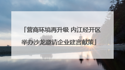 营商环境再升级 内江经开区举办沙龙邀请企业建言献策