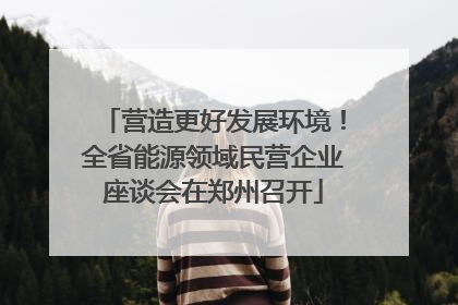 营造更好发展环境！全省能源领域民营企业座谈会在郑州召开