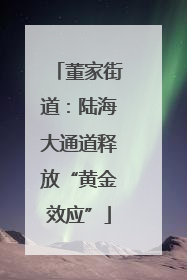 董家街道：陆海大通道释放“黄金效应”