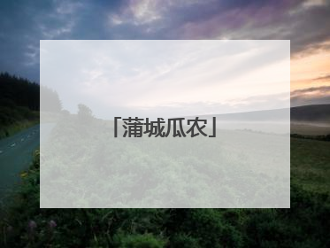蒲城瓜农