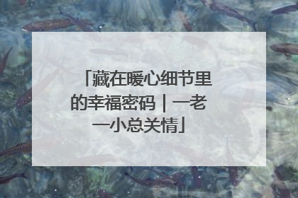 藏在暖心细节里的幸福密码｜一老一小总关情