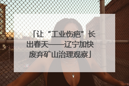 让“工业伤疤”长出春天——辽宁加快废弃矿山治理观察