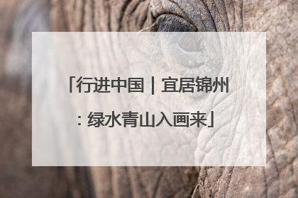 行进中国｜宜居锦州：绿水青山入画来