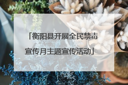 衡阳县开展全民禁毒宣传月主题宣传活动