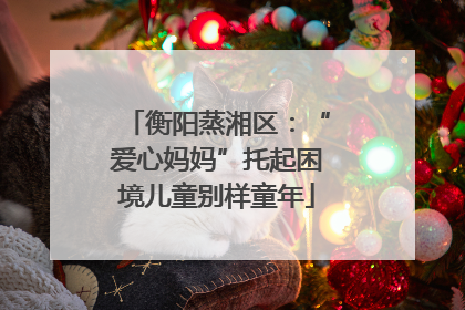 衡阳蒸湘区：“爱心妈妈”托起困境儿童别样童年