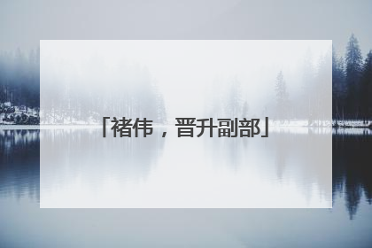 褚伟，晋升副部