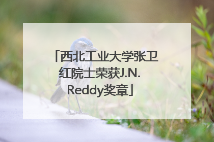 西北工业大学张卫红院士荣获J.N.Reddy奖章