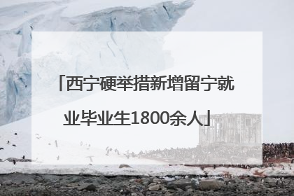 西宁硬举措新增留宁就业毕业生1800余人