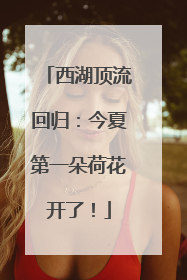 西湖顶流回归：今夏第一朵荷花开了！