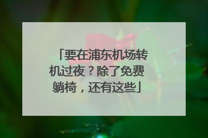 要在浦东机场转机过夜？除了免费躺椅，还有这些