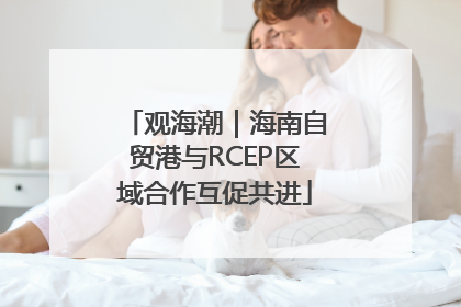 观海潮｜海南自贸港与RCEP区域合作互促共进