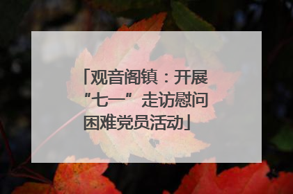 观音阁镇：开展“七一”走访慰问困难党员活动