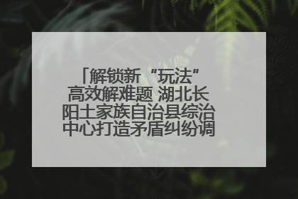解锁新“玩法” 高效解难题 湖北长阳土家族自治县综治中心打造矛盾纠纷调处“终点站”