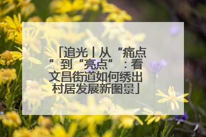 追光丨从“痛点”到“亮点”：看文昌街道如何绣出村居发展新图景