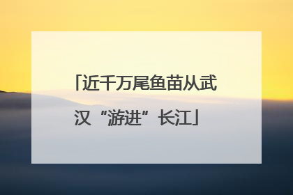 近千万尾鱼苗从武汉“游进”长江