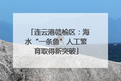 连云港赣榆区：海水“一条鱼”人工繁育取得新突破