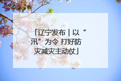辽宁发布｜以“汛”为令 打好防灾减灾主动仗