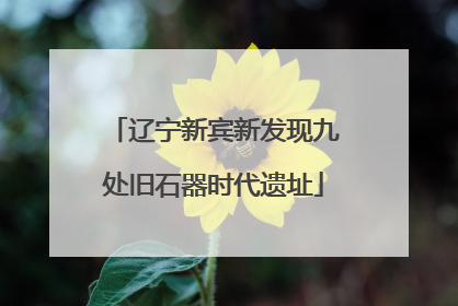 辽宁新宾新发现九处旧石器时代遗址