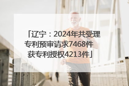 辽宁：2024年共受理专利预审请求7468件 获专利授权4213件