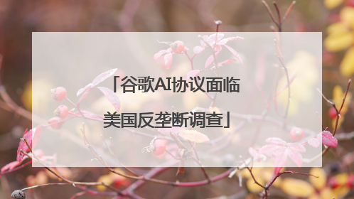 谷歌AI协议面临美国反垄断调查