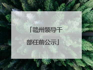 赣州领导干部任前公示