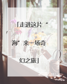 走进这片“海”来一场奇幻之旅