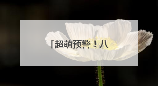 超萌预警！八大处绿头鸭又添宝宝啦~