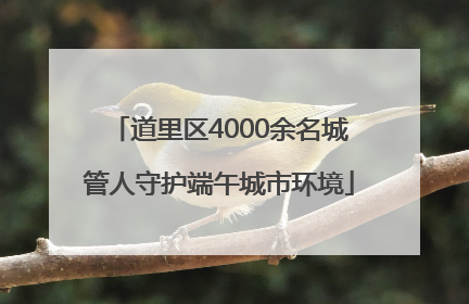 道里区4000余名城管人守护端午城市环境