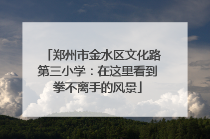 郑州市金水区文化路第三小学：在这里看到拳不离手的风景