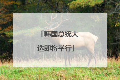 韩国总统大选即将举行