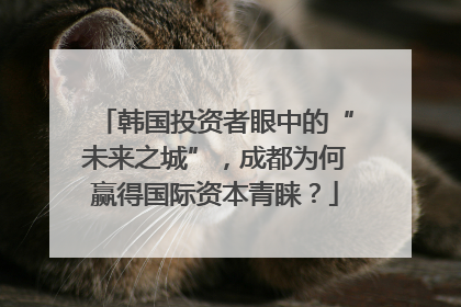 韩国投资者眼中的“未来之城”，成都为何赢得国际资本青睐？