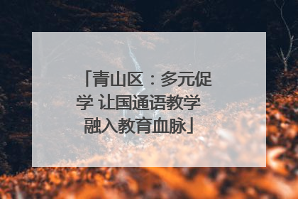青山区：多元促学 让国通语教学融入教育血脉