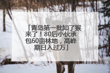 青岛第一批知了猴来了！80后小伙承包60亩林地，高峰期日入过万