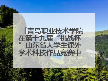 青岛职业技术学院在第十九届“挑战杯”山东省大学生课外学术科技作品竞赛中斩获佳绩