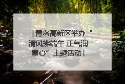 青岛高新区举办“清风拂端午 正气润童心”主题活动