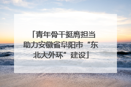青年骨干挺膺担当 助力安徽省阜阳市“东北大外环”建设