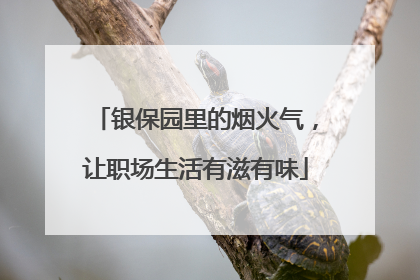 银保园里的烟火气，让职场生活有滋有味