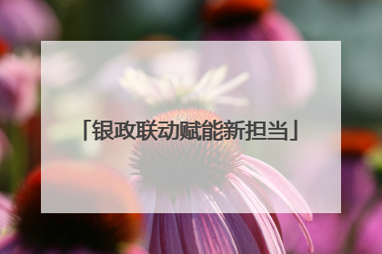 银政联动赋能新担当