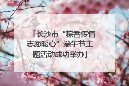 长沙市“粽香传情志愿暖心”端午节主题活动成功举办
