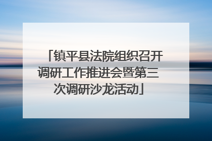 镇平县法院组织召开调研工作推进会暨第三次调研沙龙活动