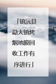 镇沅县勐大镇烤烟地膜回收工作有序进行