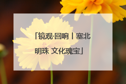 镜观·回响丨塞北明珠 文化瑰宝