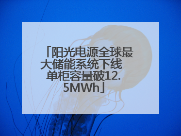 阳光电源全球最大储能系统下线 单柜容量破12.5MWh
